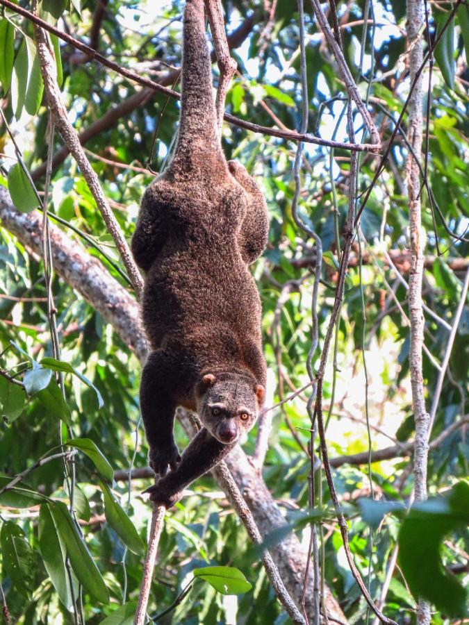 Bitung Tangkoko Ranger Homestay מראה חיצוני תמונה